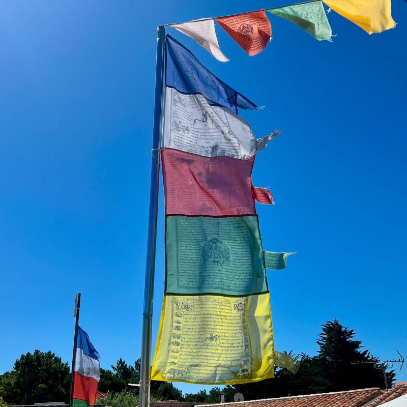 Drapeau tibétain vertical en polyester - 48x33 cm - 1,65 m de haut