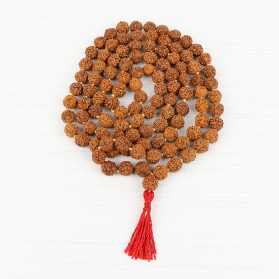 Mala 108 perles en graines de rudraksha du Népal